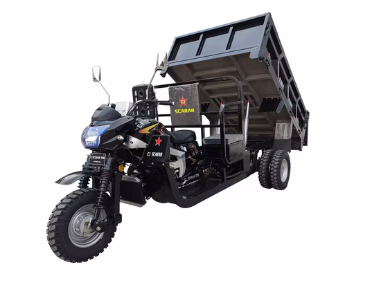 UE/ECE/CE Triciclo de Carga de 9 Rodas/Motocicleta Pesada 350cc/Triciclo Basculante Hidráulico de Dois Cilindros/Caminhão a Motor/